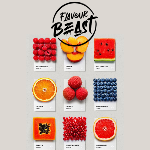 Flavour Beast Salt – 47 Refreshing Fruit & Iced Flavours